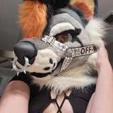 hellhoundxo from onlyfans